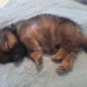 Meet your Posher, Jewell